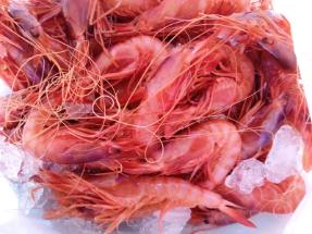 WhatsApp Image 2024-06-17 at 19.09.13 (1) gamba bar restaurante & caterings el puñetero